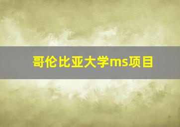 哥伦比亚大学ms项目