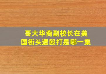 哥大华裔副校长在美国街头遭殴打是哪一集