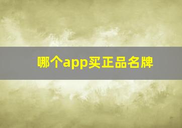 哪个app买正品名牌