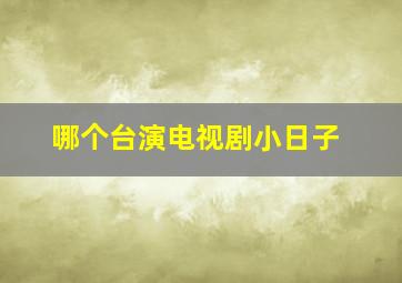 哪个台演电视剧小日子