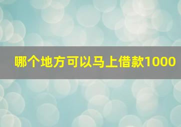 哪个地方可以马上借款1000