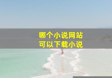 哪个小说网站可以下载小说