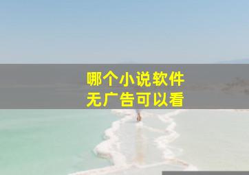 哪个小说软件无广告可以看