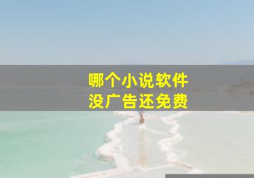 哪个小说软件没广告还免费