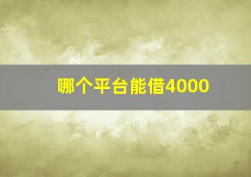 哪个平台能借4000