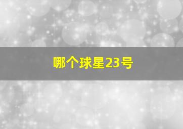 哪个球星23号