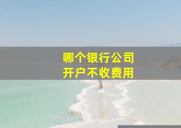 哪个银行公司开户不收费用