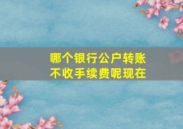 哪个银行公户转账不收手续费呢现在