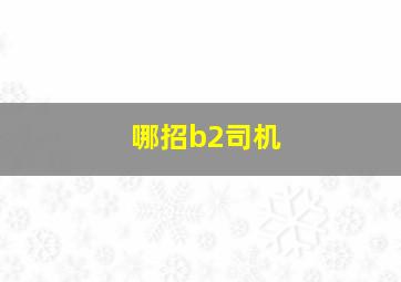 哪招b2司机