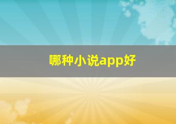 哪种小说app好