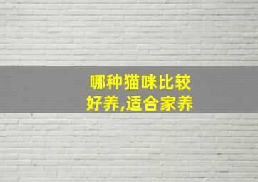 哪种猫咪比较好养,适合家养