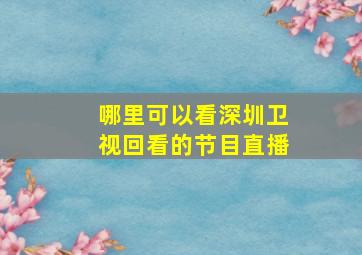 哪里可以看深圳卫视回看的节目直播