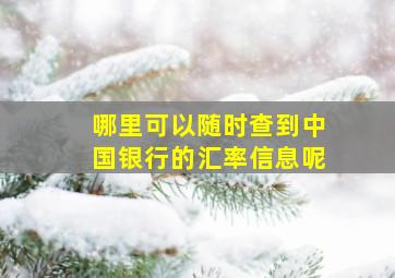 哪里可以随时查到中国银行的汇率信息呢