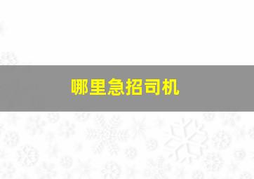 哪里急招司机