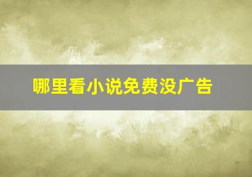 哪里看小说免费没广告