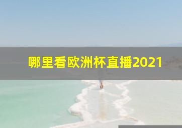 哪里看欧洲杯直播2021