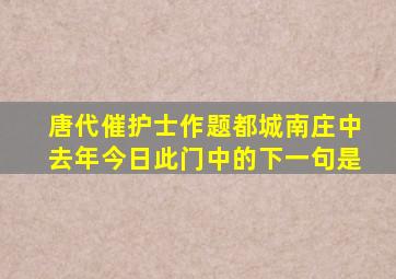 唐代催护士作题都城南庄中去年今日此门中的下一句是