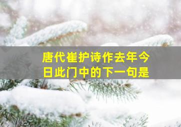 唐代崔护诗作去年今日此门中的下一句是