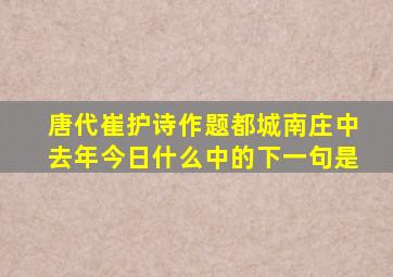 唐代崔护诗作题都城南庄中去年今日什么中的下一句是