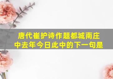 唐代崔护诗作题都城南庄中去年今日此中的下一句是