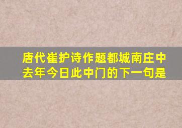 唐代崔护诗作题都城南庄中去年今日此中门的下一句是