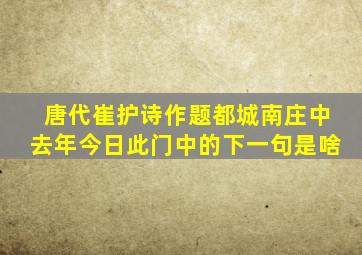 唐代崔护诗作题都城南庄中去年今日此门中的下一句是啥