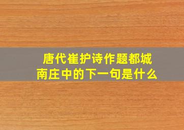 唐代崔护诗作题都城南庄中的下一句是什么