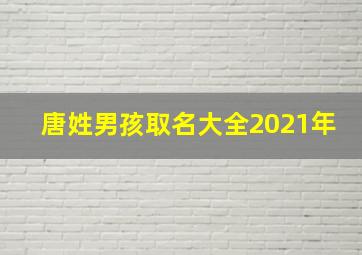 唐姓男孩取名大全2021年