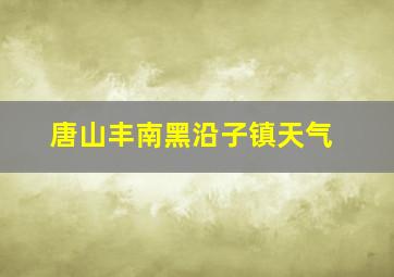 唐山丰南黑沿子镇天气