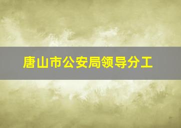 唐山市公安局领导分工