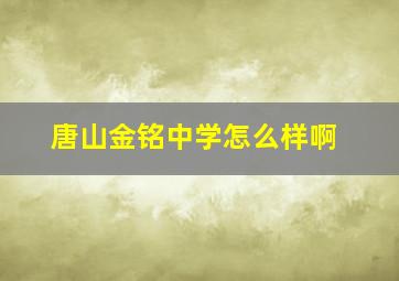 唐山金铭中学怎么样啊