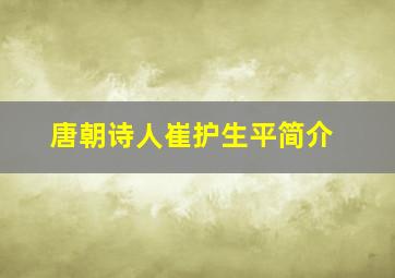 唐朝诗人崔护生平简介