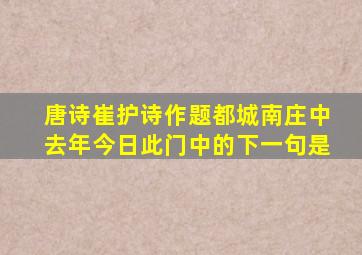 唐诗崔护诗作题都城南庄中去年今日此门中的下一句是