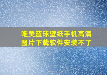 唯美篮球壁纸手机高清图片下载软件安装不了