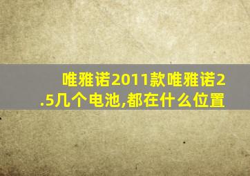 唯雅诺2011款唯雅诺2.5几个电池,都在什么位置