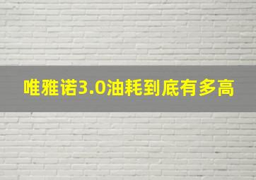 唯雅诺3.0油耗到底有多高