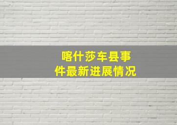 喀什莎车县事件最新进展情况