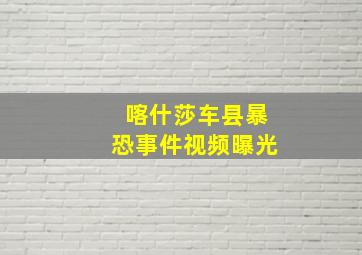 喀什莎车县暴恐事件视频曝光