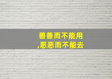 善善而不能用,恶恶而不能去