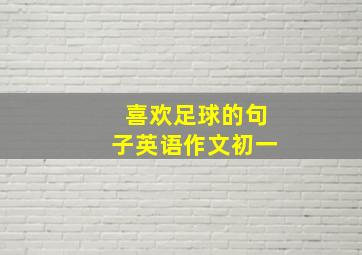 喜欢足球的句子英语作文初一