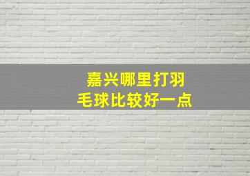 嘉兴哪里打羽毛球比较好一点