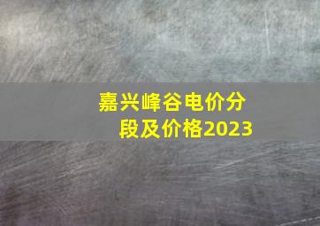 嘉兴峰谷电价分段及价格2023