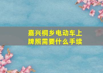 嘉兴桐乡电动车上牌照需要什么手续