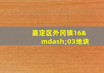 嘉定区外冈镇16—03地块