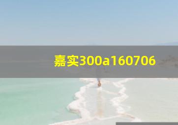 嘉实300a160706