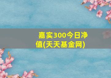 嘉实300今日净值(天天基金网)