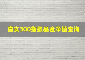 嘉实300指数基金净值查询