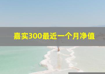 嘉实300最近一个月净值