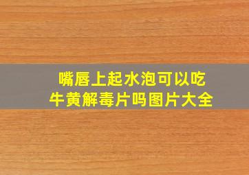 嘴唇上起水泡可以吃牛黄解毒片吗图片大全