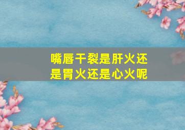 嘴唇干裂是肝火还是胃火还是心火呢